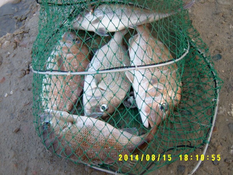 ٹ̱_S3500048.JPG