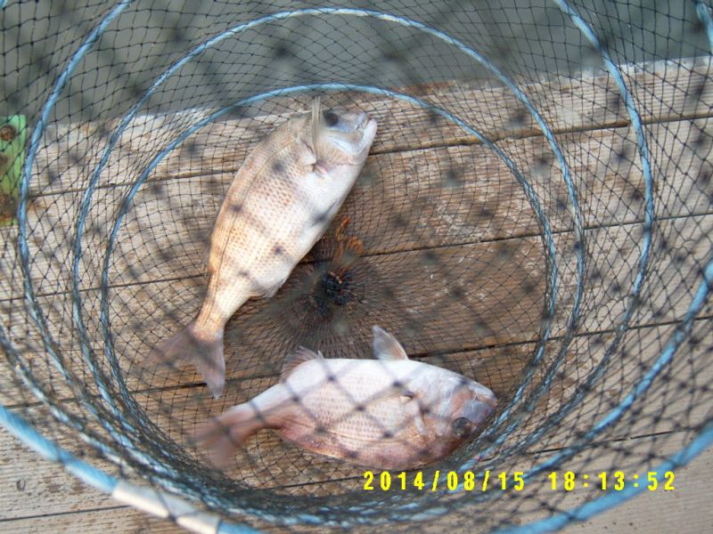 ٹ̱_S3500050.JPG