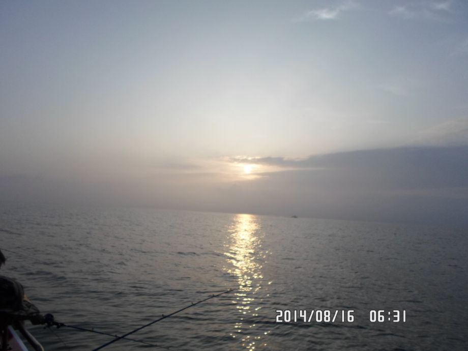 SAM_0343.JPG
