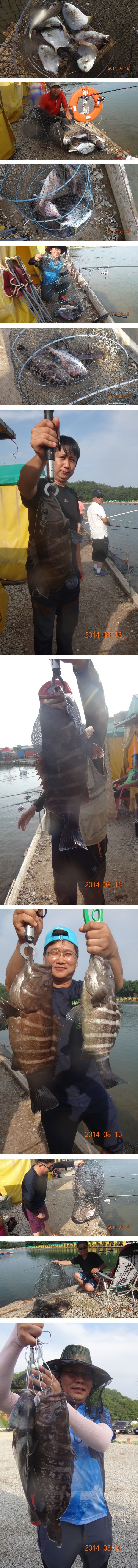 DSC04861-05.jpg