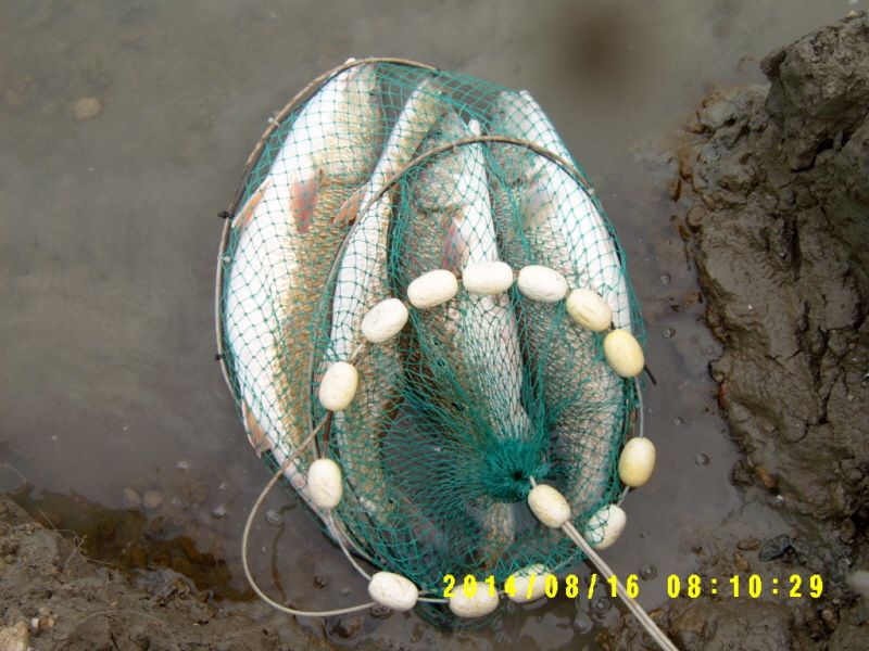 �ٹ̱�_S3500001.JPG