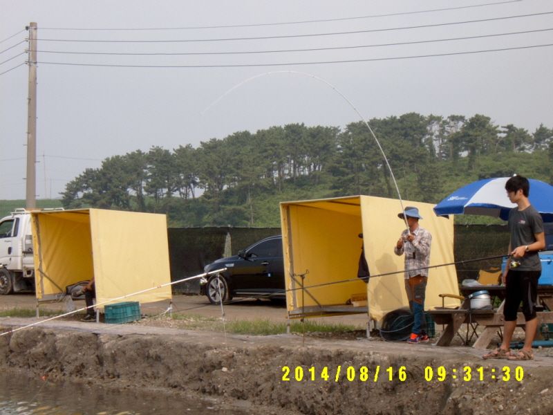 �ٹ̱�_S3500006.JPG