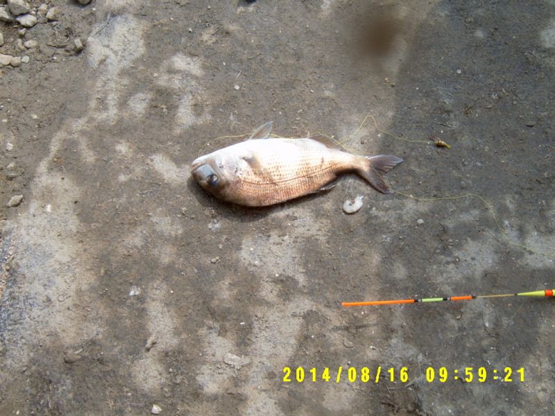 �ٹ̱�_S3500011.JPG