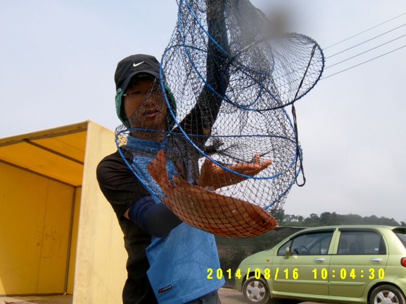 �ٹ̱�_S3500012.JPG