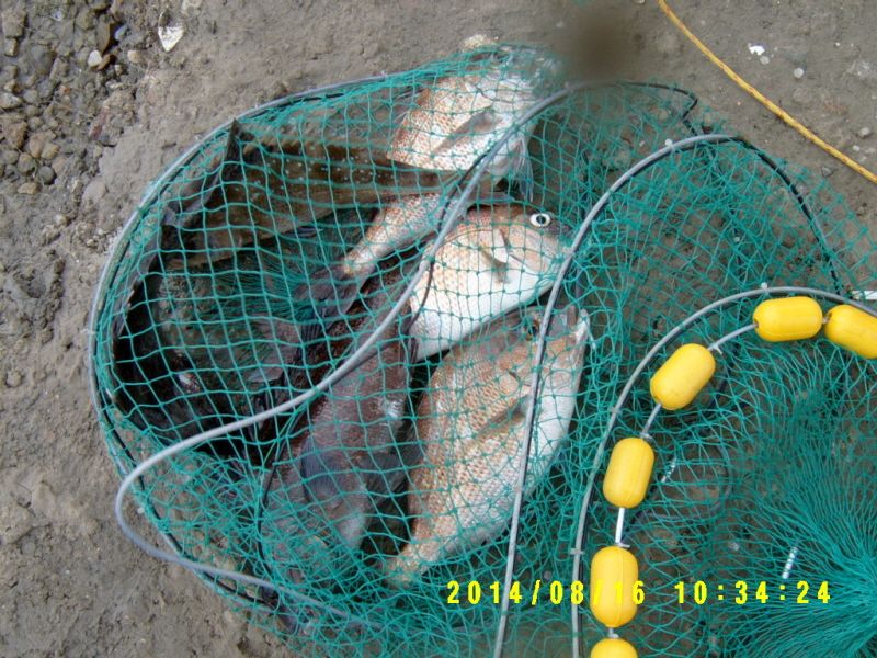 �ٹ̱�_S3500014.JPG