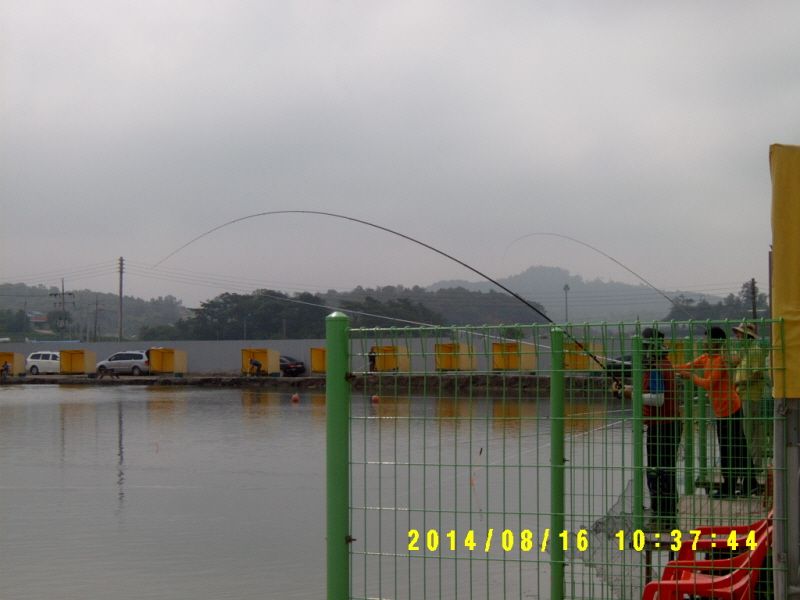 �ٹ̱�_S3500015.JPG