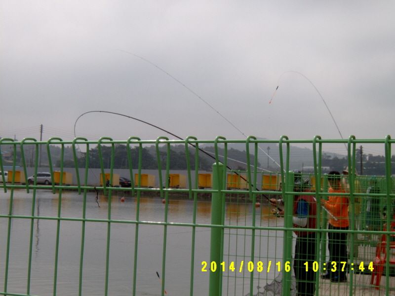 �ٹ̱�_S3500016.JPG