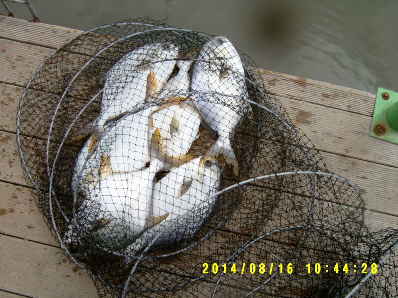 �ٹ̱�_S3500019.JPG