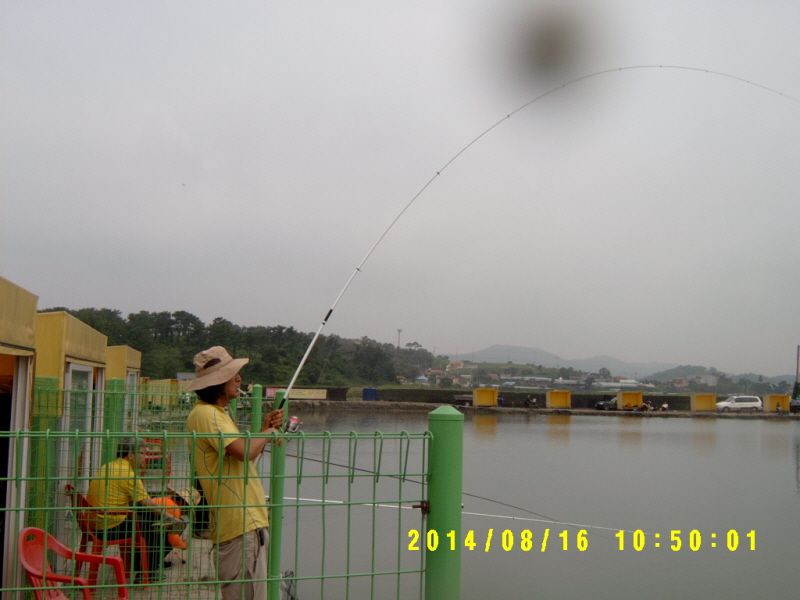 �ٹ̱�_S3500020.JPG