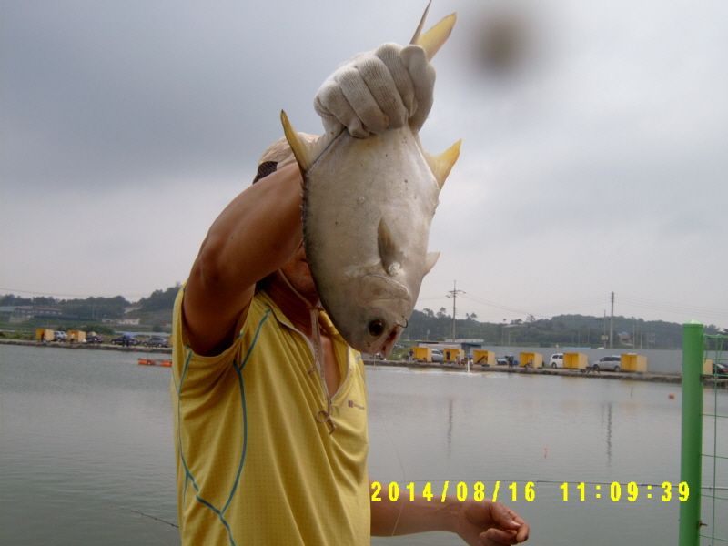 �ٹ̱�_S3500024.JPG