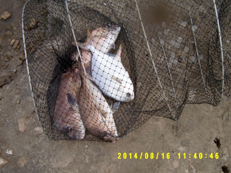 �ٹ̱�_S3500027.JPG