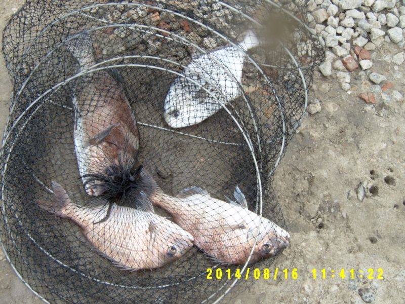 �ٹ̱�_S3500028.JPG