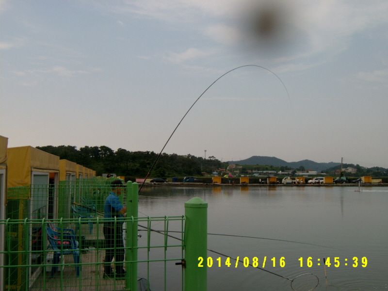 �ٹ̱�_S3500031.JPG