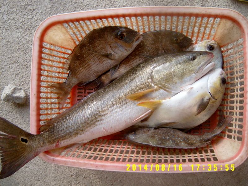 �ٹ̱�_S3500036.JPG