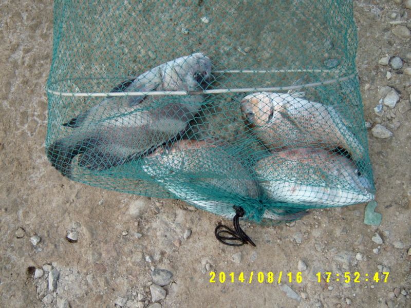�ٹ̱�_S3500038.JPG