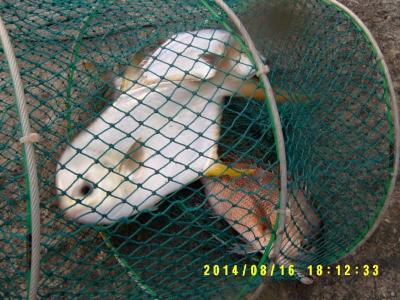 �ٹ̱�_S3500041.JPG