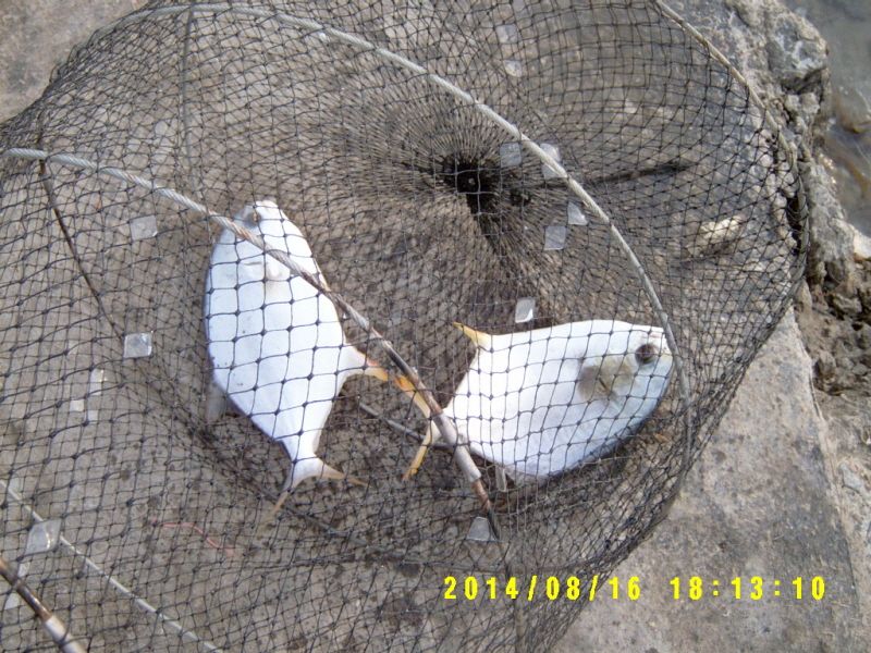 �ٹ̱�_S3500042.JPG