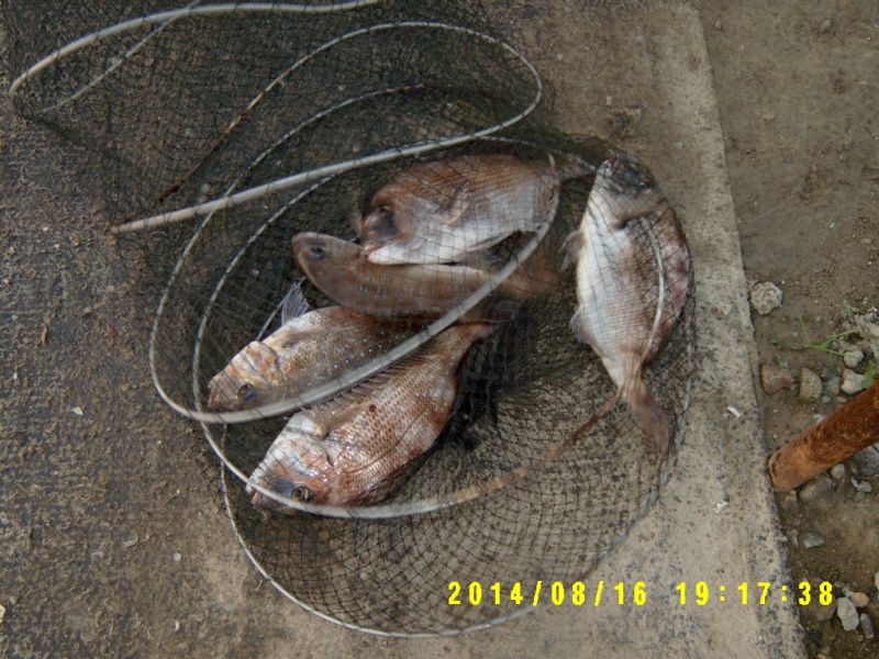 �ٹ̱�_S3500043.JPG