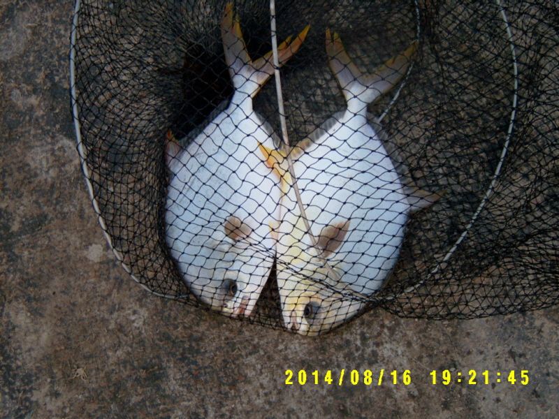 �ٹ̱�_S3500046.JPG