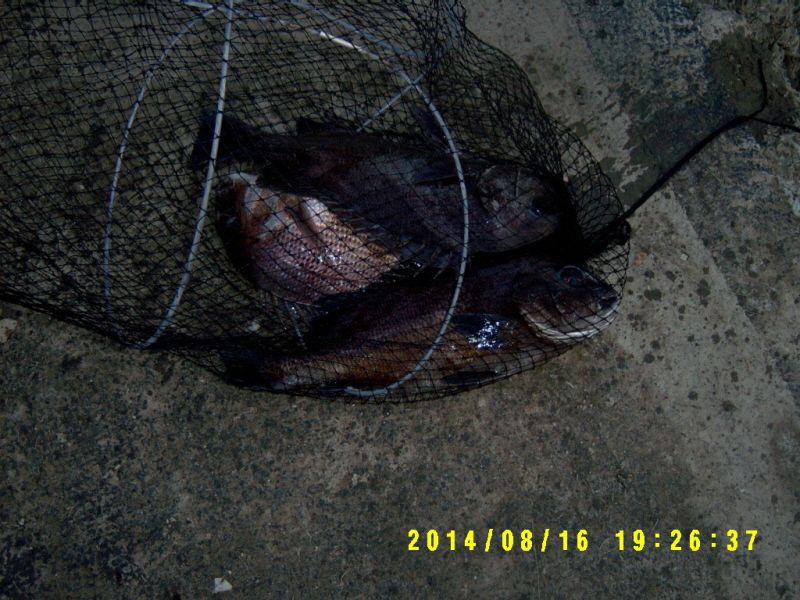 �ٹ̱�_S3500053.JPG