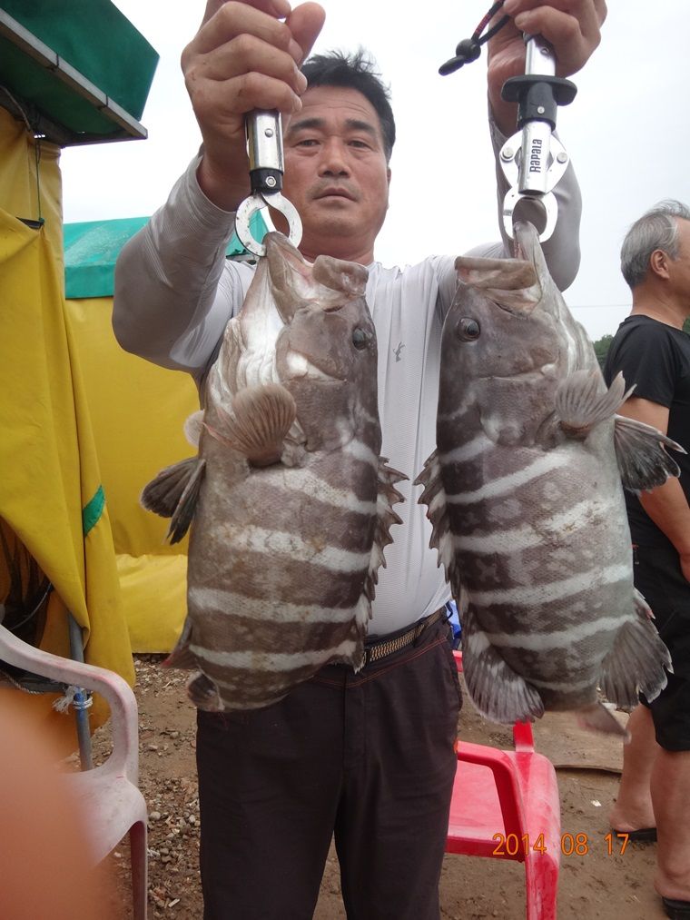 DSC04906-000.jpg