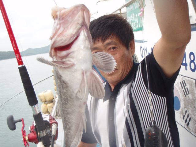 P8200019.JPG