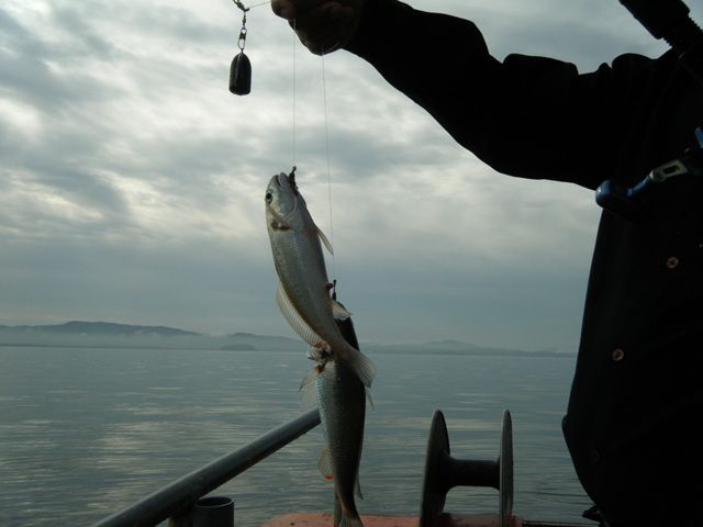 20140820154547_6110_3_6.jpg