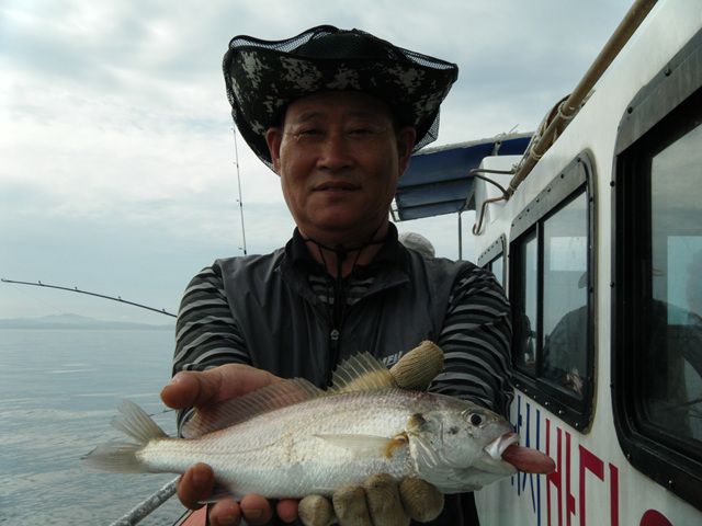 20140820154547_7910_4_8.jpg