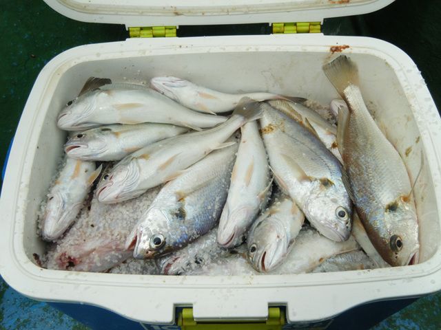 20140820154547_8610_1_9.jpg