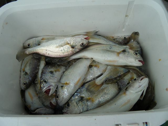 20140820154548_1910_2_13.jpg