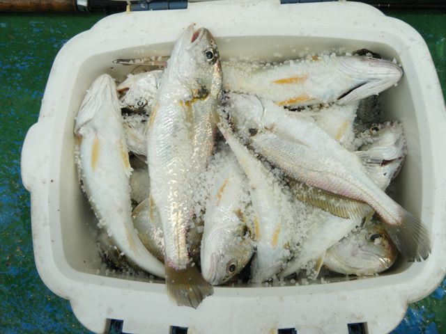 20140820154548_410_9_11.jpg