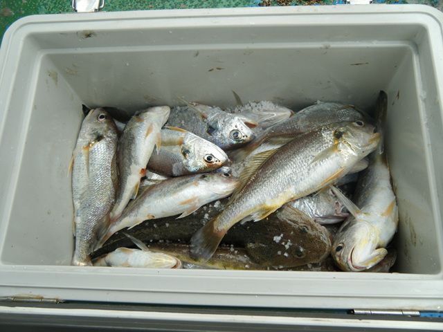 20140820154548_6910_1_19.jpg