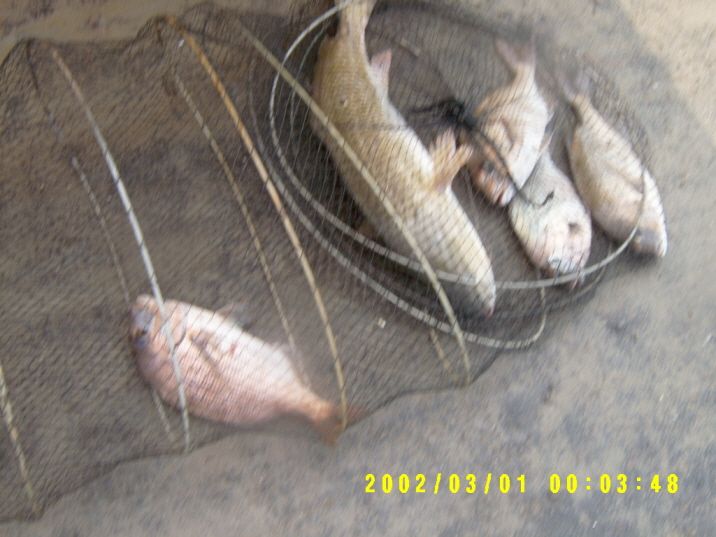 ٹ̱_S3500001.JPG