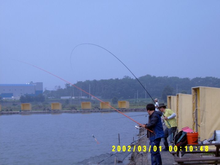 ٹ̱_S3500005.JPG