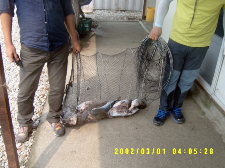 ٹ̱_S3500011.JPG