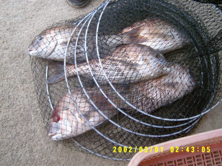 ٹ̱_S3500010.JPG