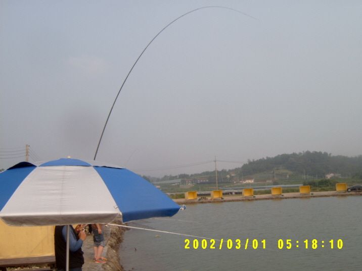 ٹ̱_S3500026.JPG