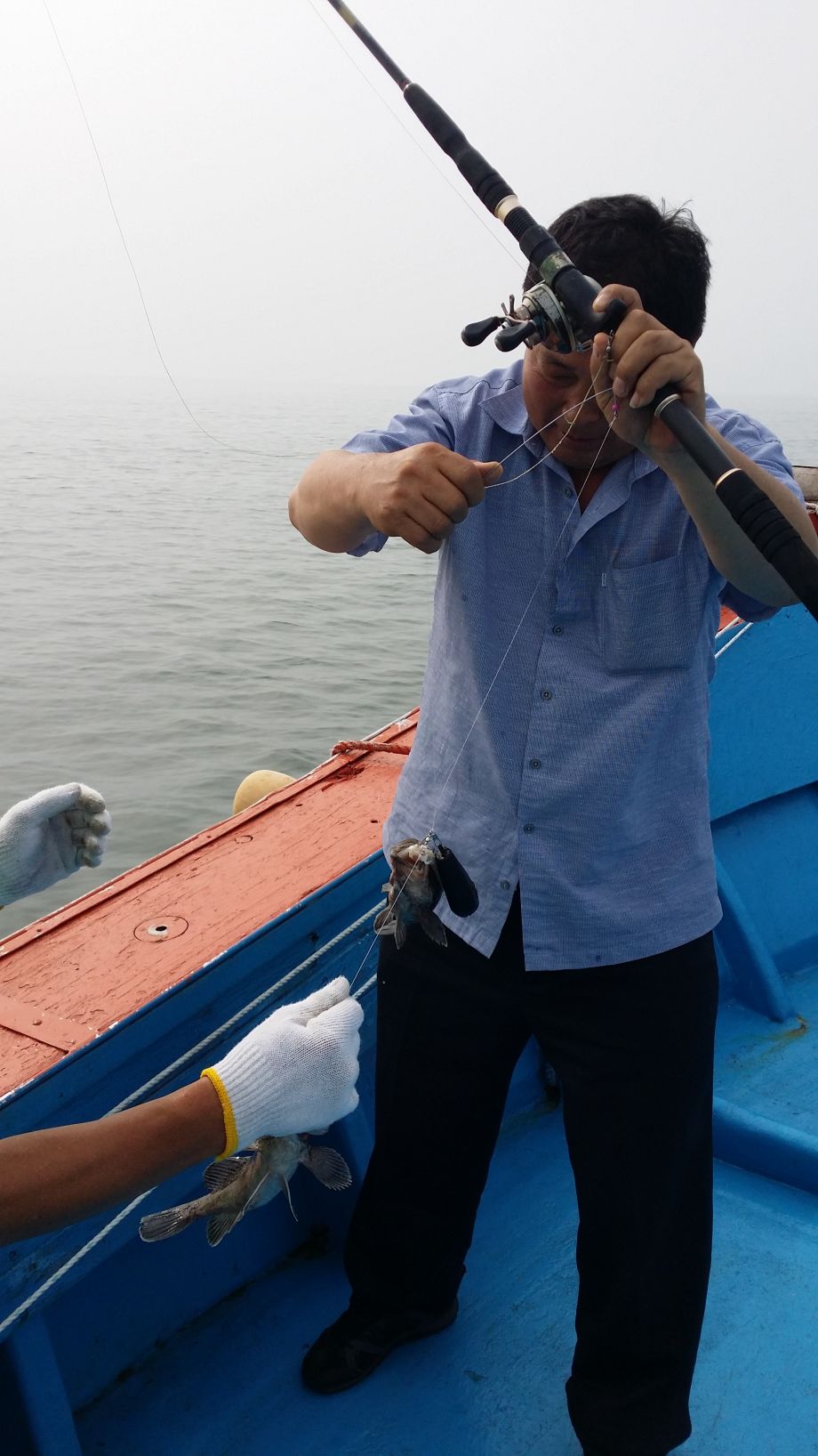 20140801_081722.jpg