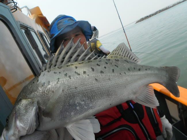 83.jpg