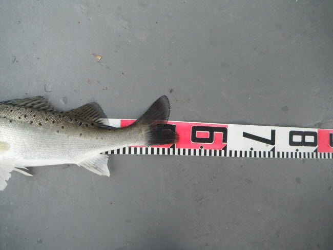 87.jpg