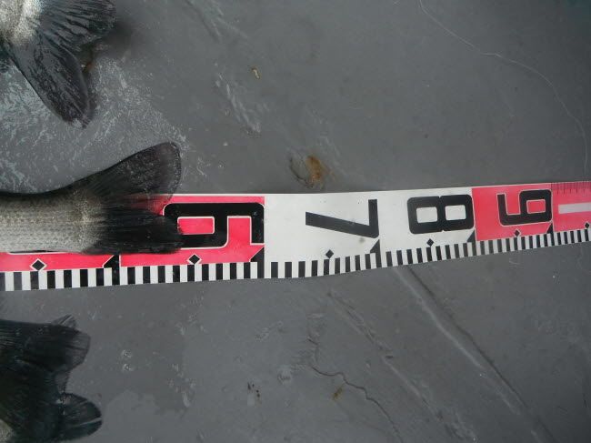 116.jpg