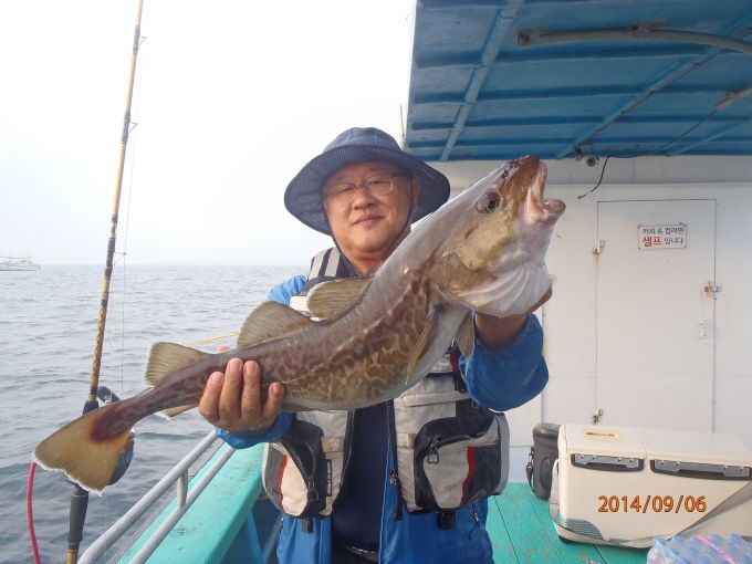 ũ⺯ȯ_P9062948.JPG