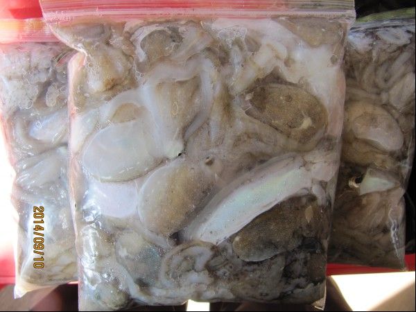 ���� 135.jpg