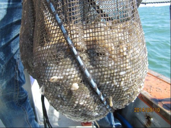 ���� 134.jpg