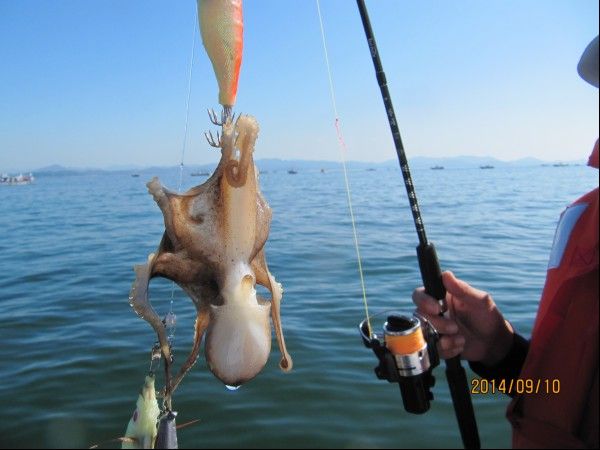 ���� 123.jpg