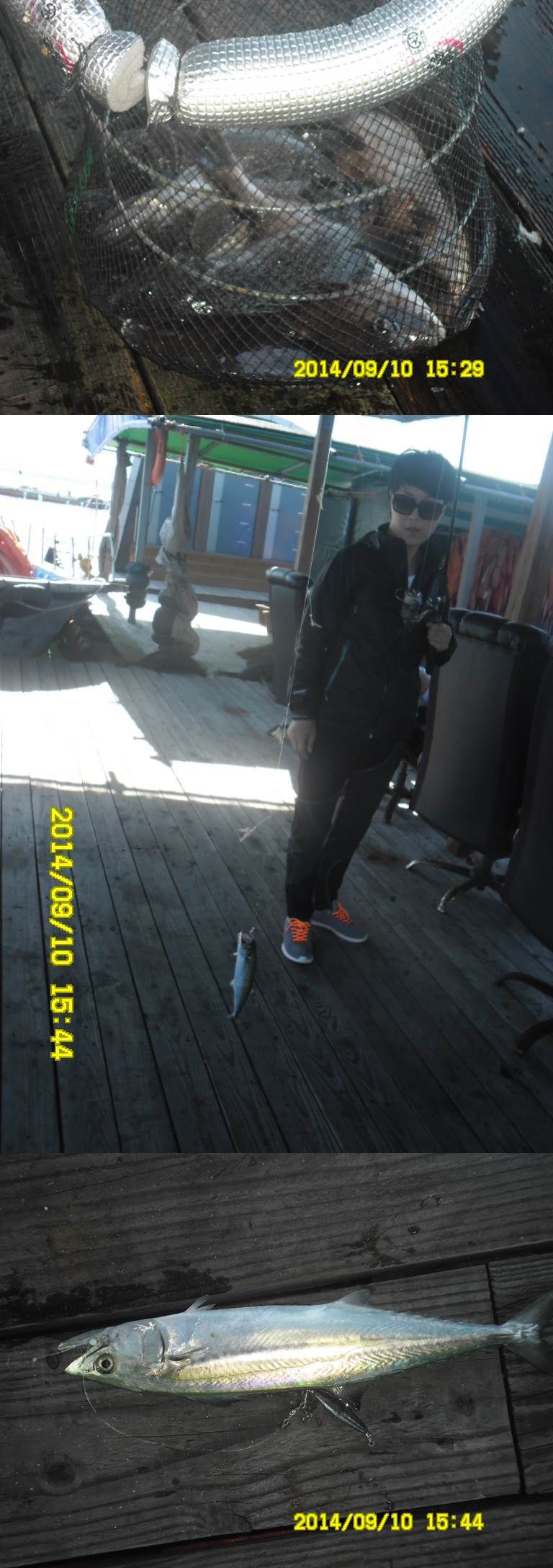 SAM_2413-vert.jpg