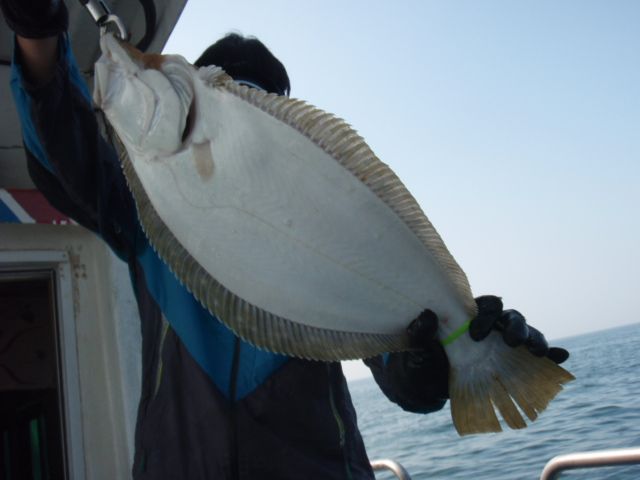 P9130005.JPG