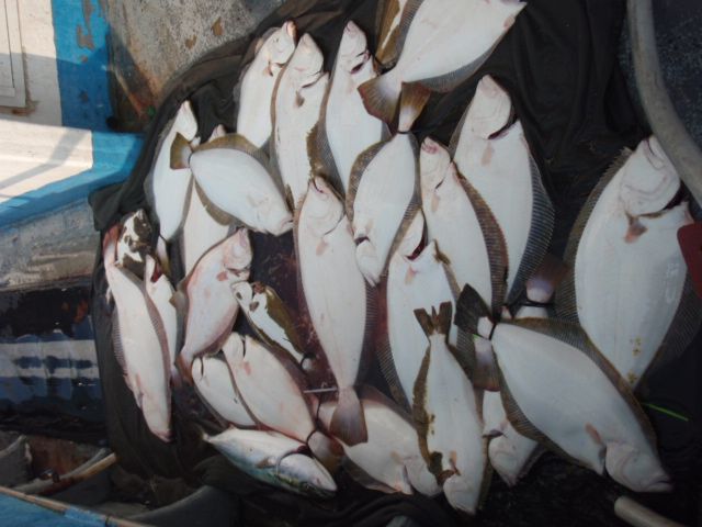 P9130007.JPG