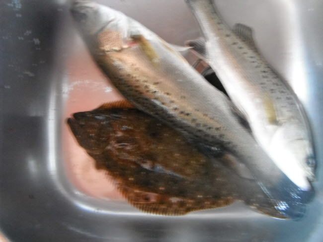 56.jpg