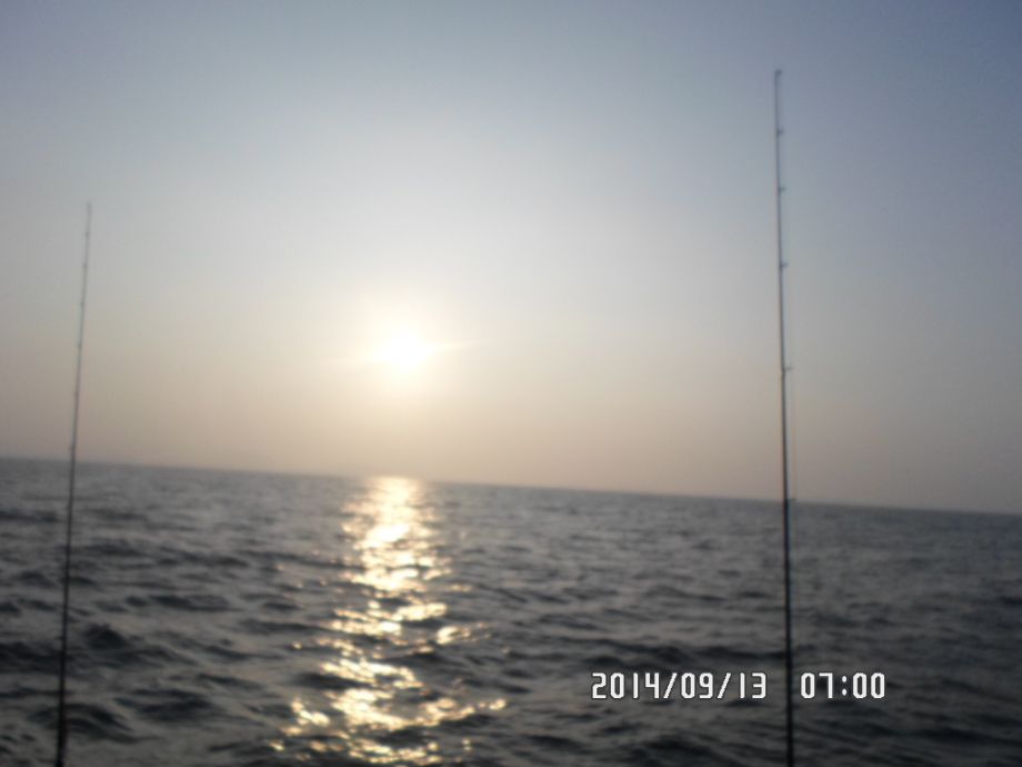 SAM_0850.JPG